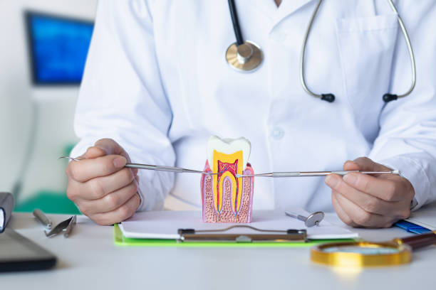 Best Emergency Root Canal Treatment in La Crosse, WI